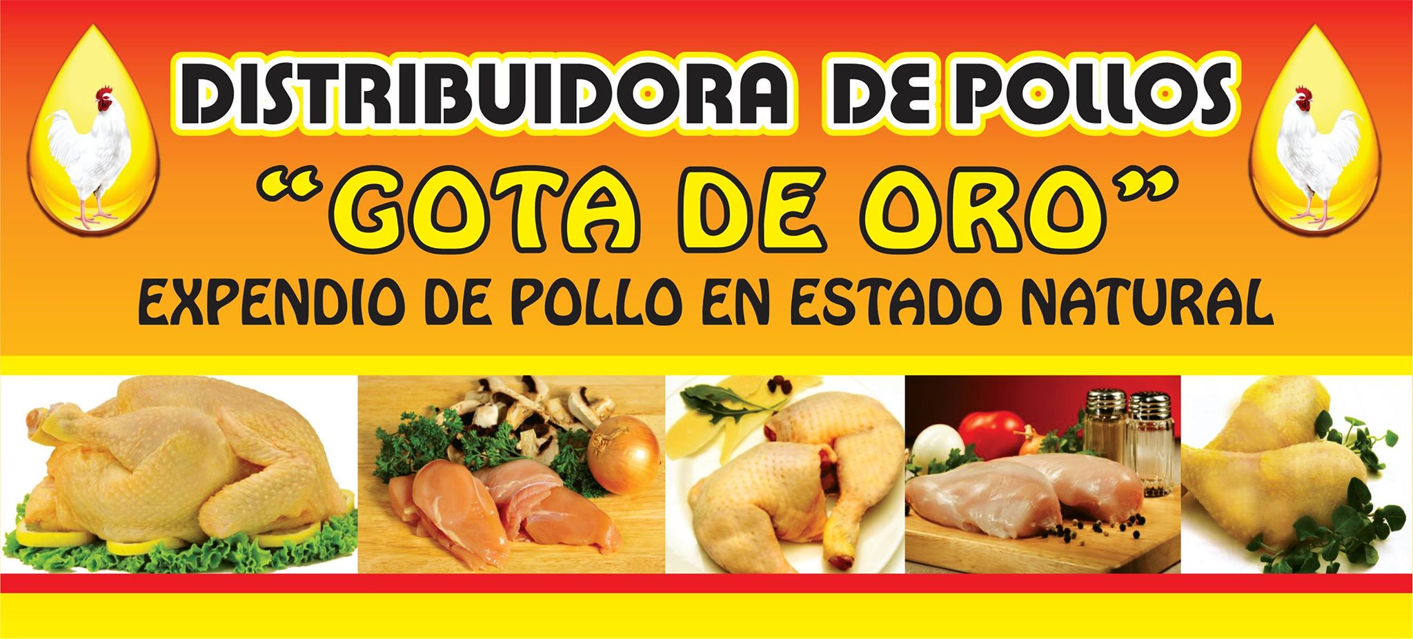 Distribuidora de pollo Gota de oro